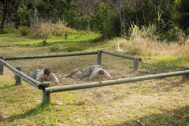 People crawling under a net