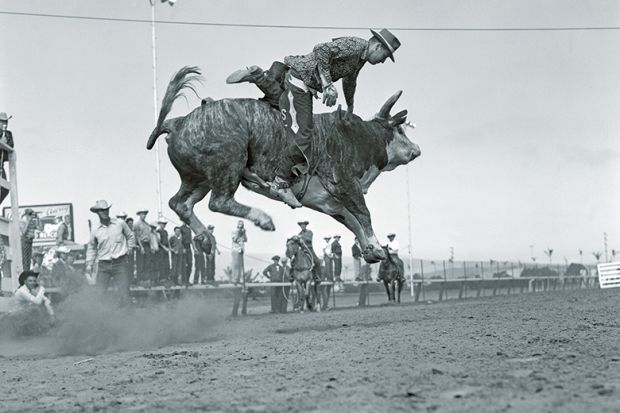 Rodeo