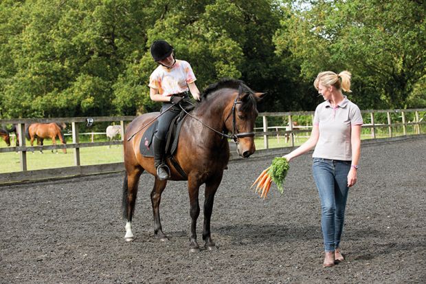 Offering a bunch of carrots to train a pony to illustrate Russia scholars split over sanctions work