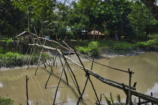 Shaky bridge