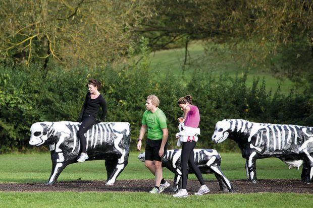 skeleton-cows