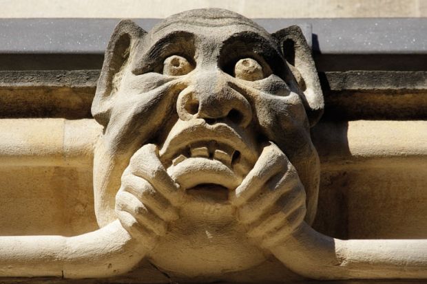 Stone pig gargoyle on wall