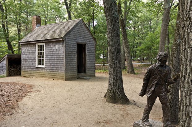 Thoreau cabin