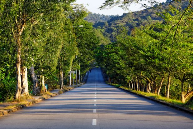 Tree-lined road stretching to horizon