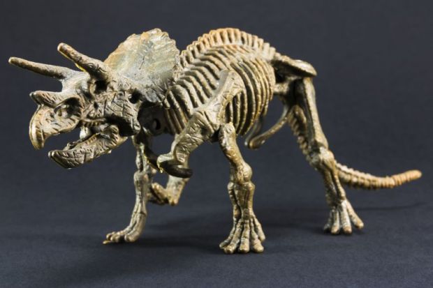 Triceratops