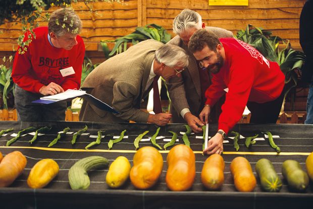 measuring vegetables