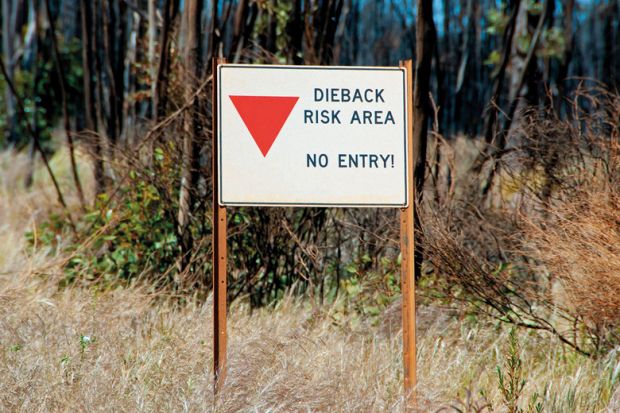 No Entry Sign for Dieback Risk Area to illustrate Caps, curbs and crises