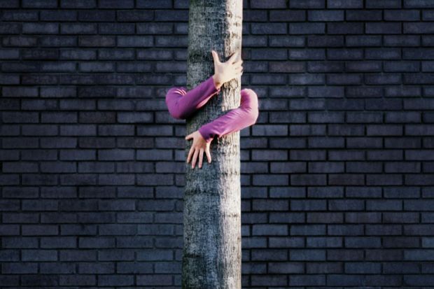 Woman hugging tree trunk