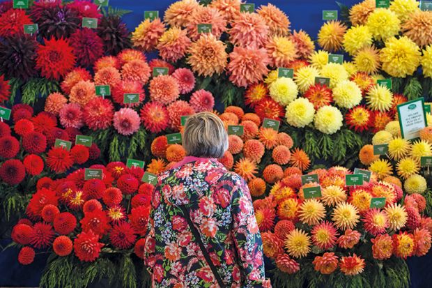 Woman looking at flowers