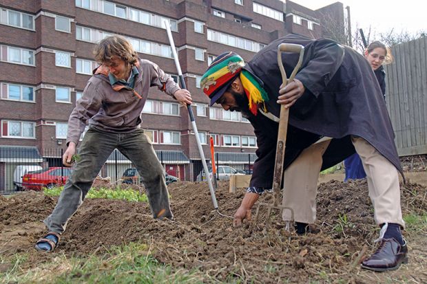 Working on an allotment