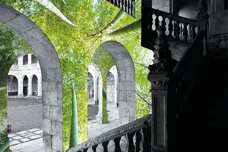 Trees growing on stone pillars